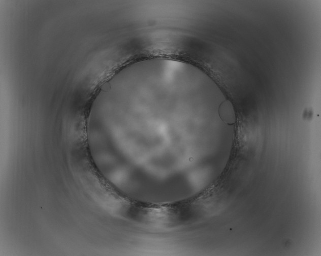 X0000111490411200907281232