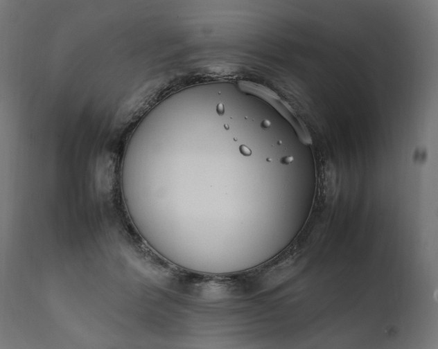 X0000111490412200907281232