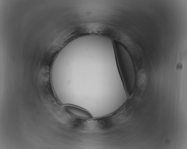 X0000111490413200907281232