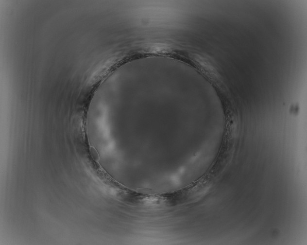 X0000111490415200907281232