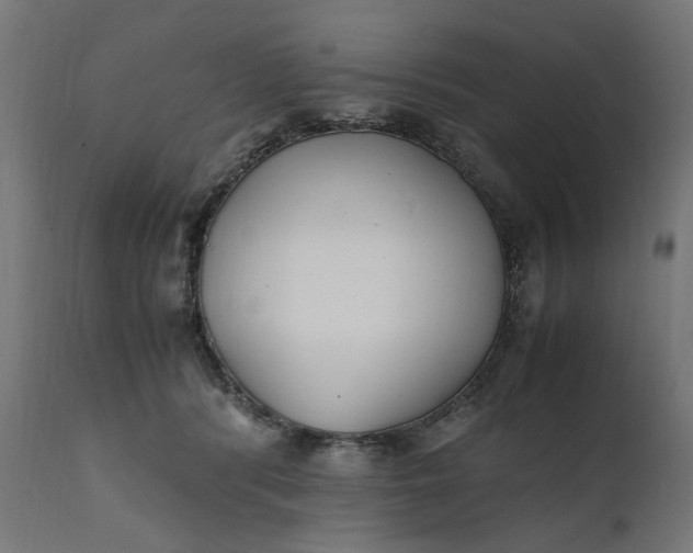 X0000111490416200907281232