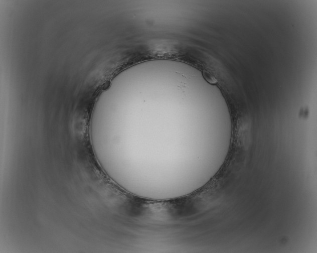 X0000111490417200907281232