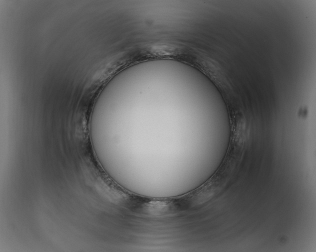 X0000111490418200907281232