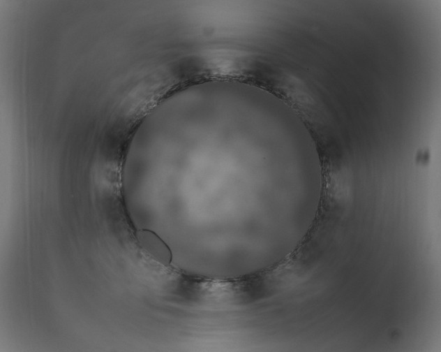 X0000111490419200907281232