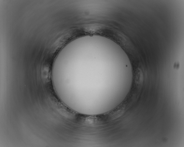 X0000111490420200907281232