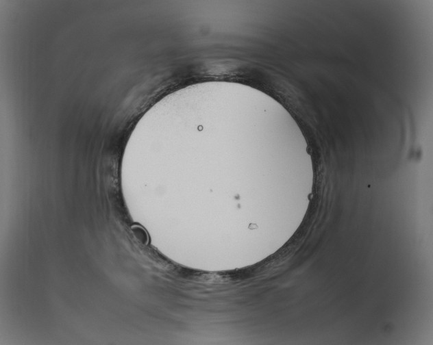 X0000111490421200907281232