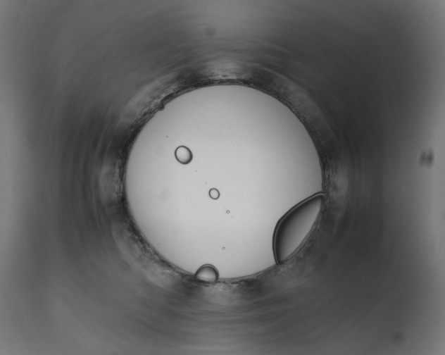 X0000111490422200907281232