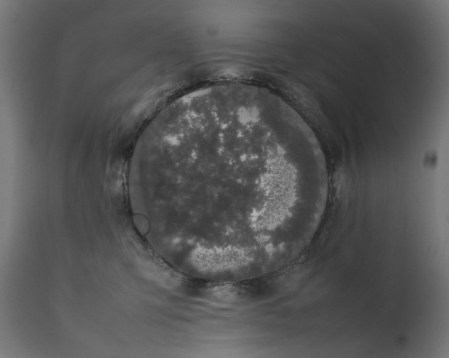 X0000111490423200907281232