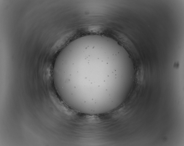 X0000111490424200907281232