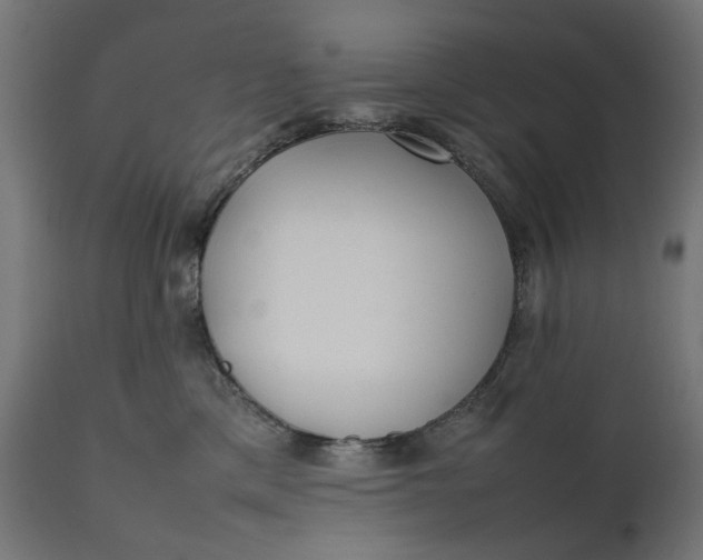 X0000111490425200907281232