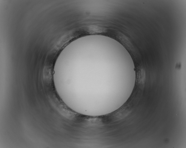 X0000111490426200907281232