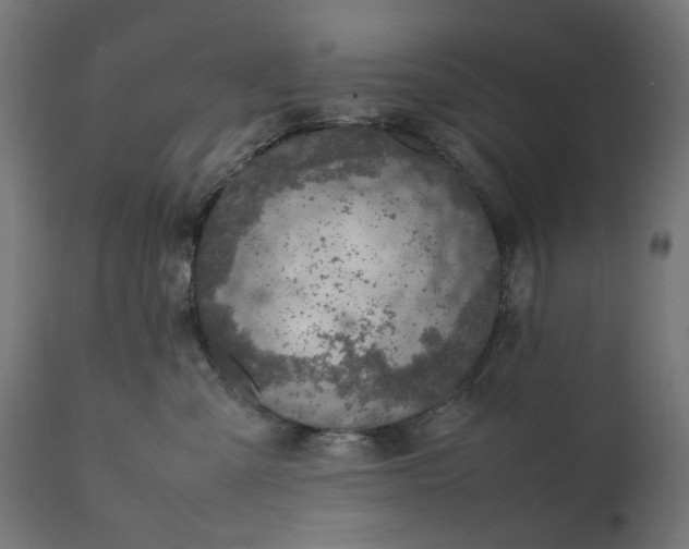 X0000111490427200907281232