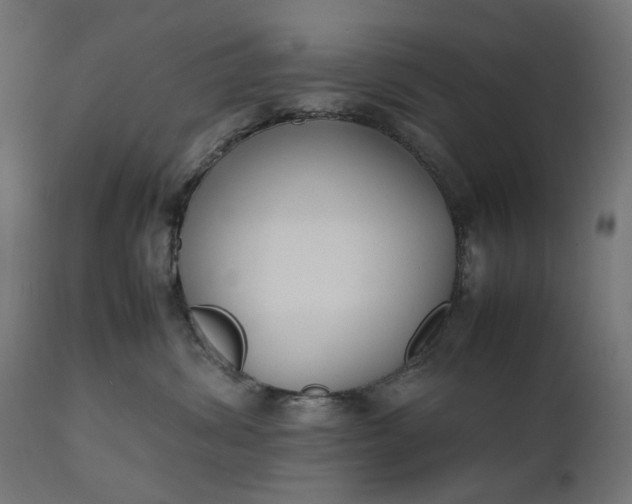 X0000111490428200907281232