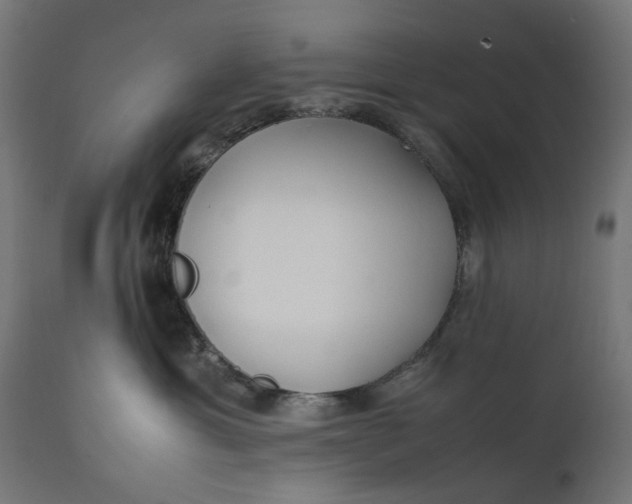 X0000111490429200907281232