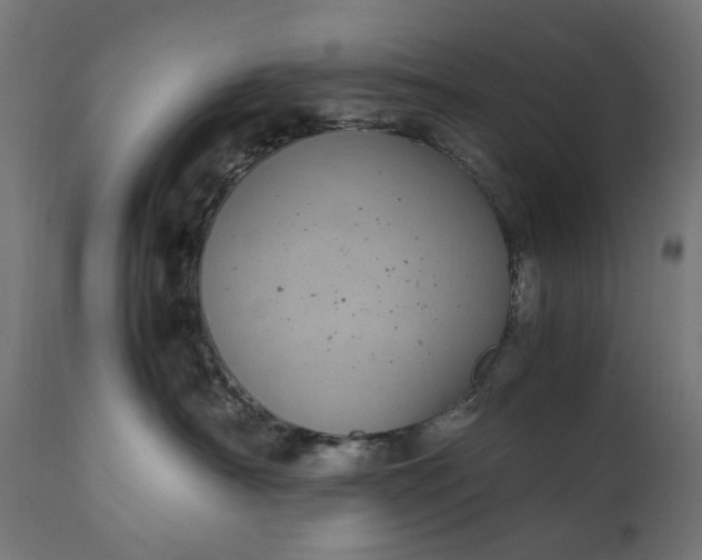 X0000111490430200907281232