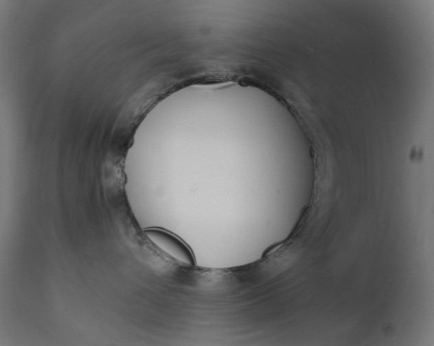 X0000111490432200907281232