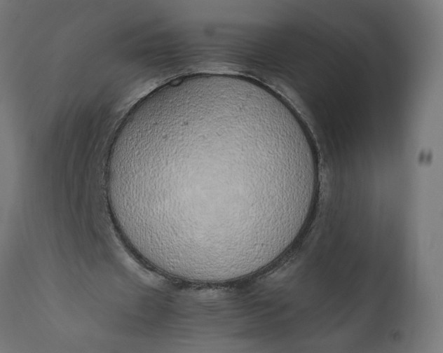 X0000111490433200907281231