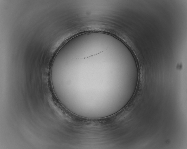 X0000111490434200907281231