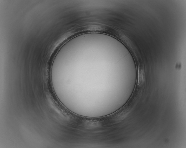 X0000111490435200907281231