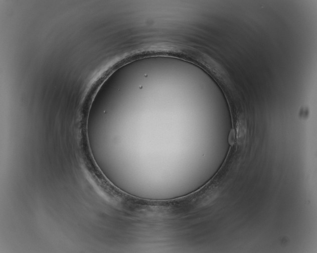 X0000111490436200907281231