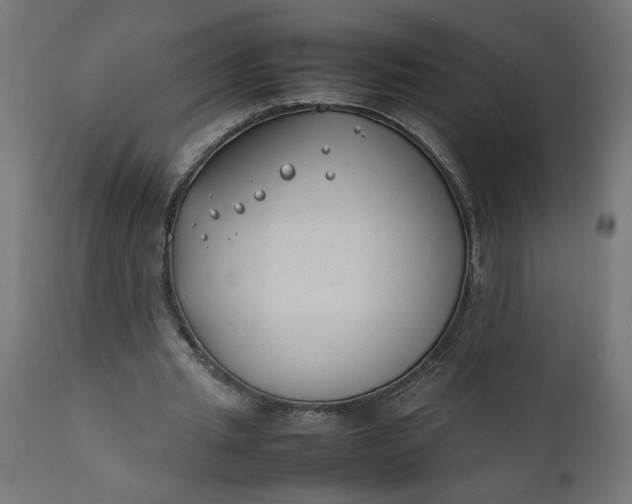 X0000111490437200907281231