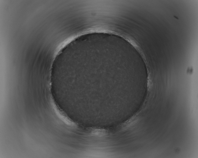 X0000111490438200907281231