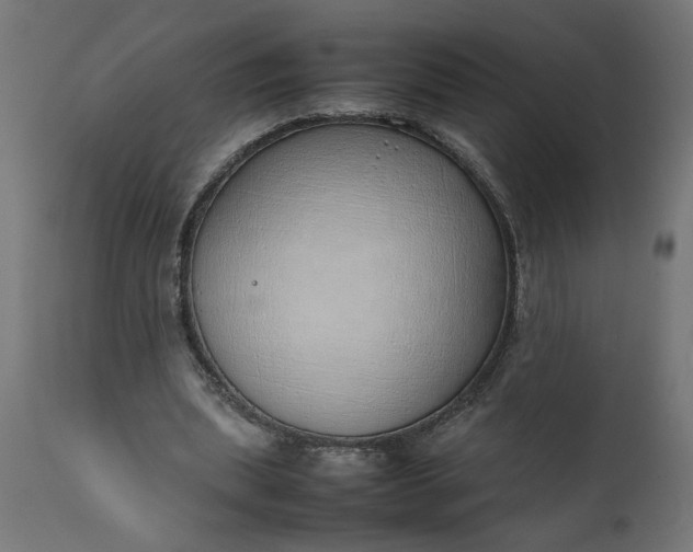 X0000111490439200907281231