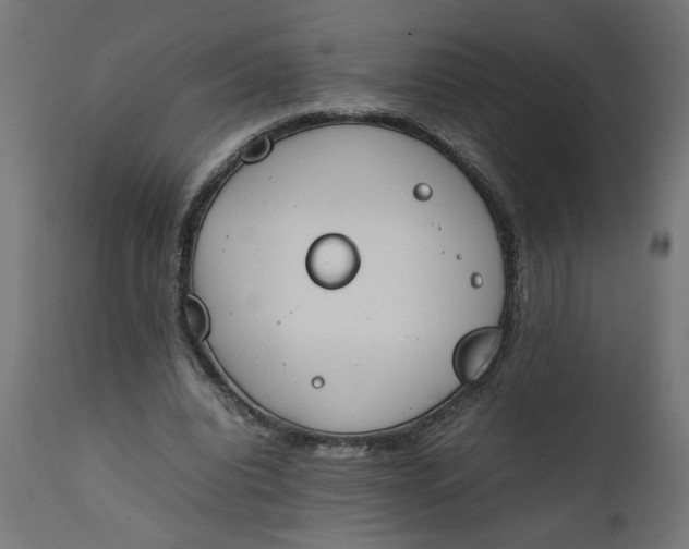 X0000111490440200907281231