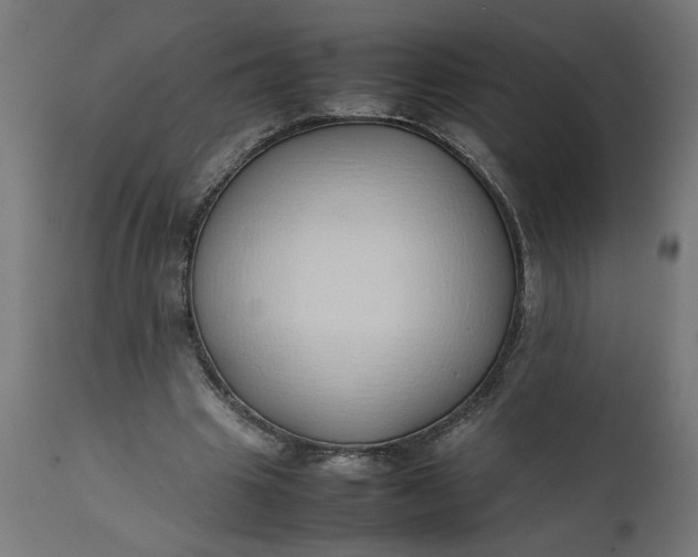 X0000111490441200907281231