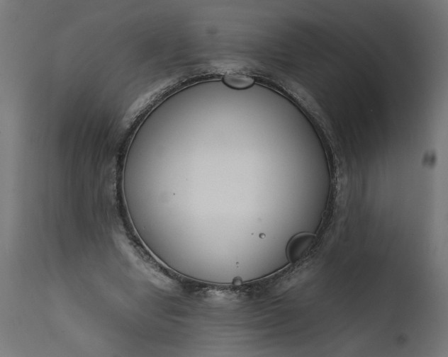 X0000111490442200907281231