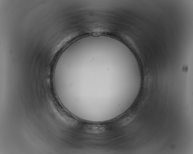 X0000111490443200907281231