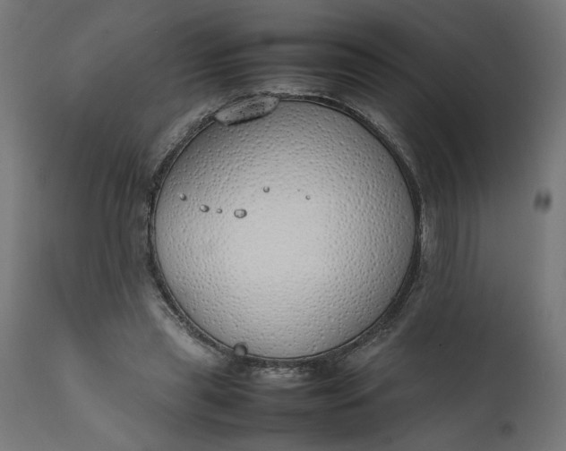 X0000111490445200907281231