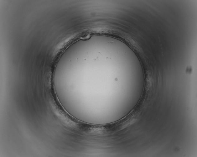 X0000111490446200907281231