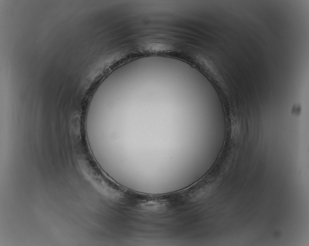 X0000111490447200907281231