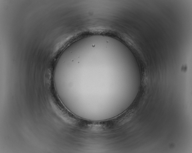 X0000111490448200907281231