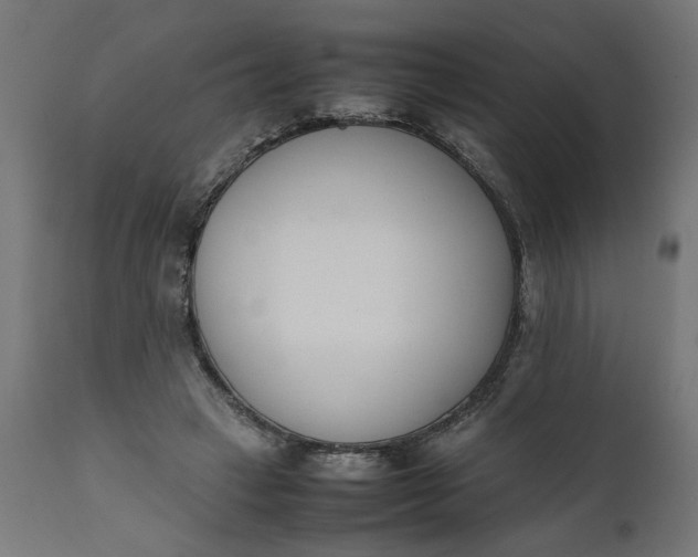 X0000111490449200907281231