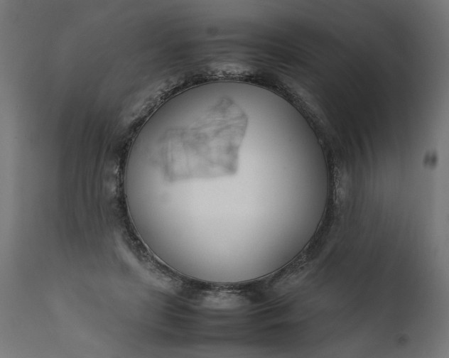 X0000111490451200907281231