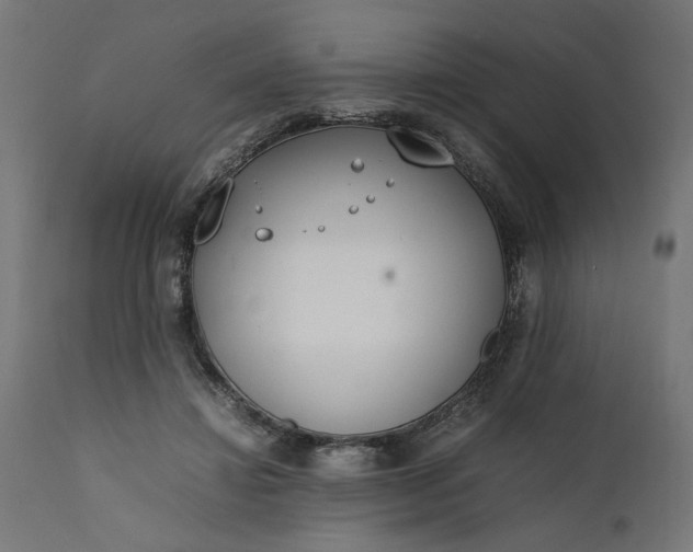 X0000111490452200907281231