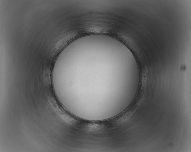 X0000111490453200907281231