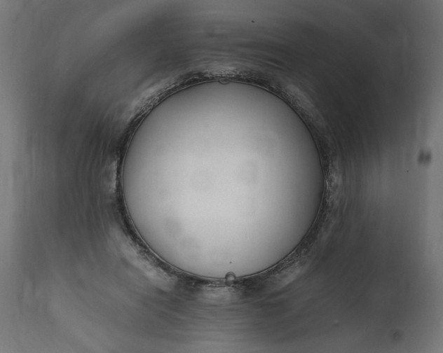 X0000111490454200907281231