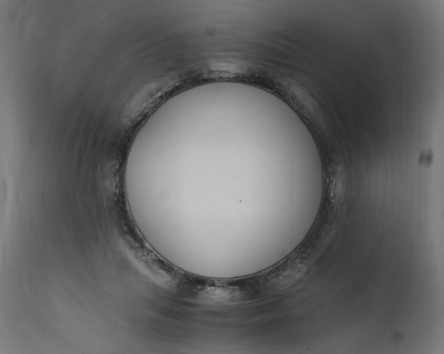 X0000111490455200907281231