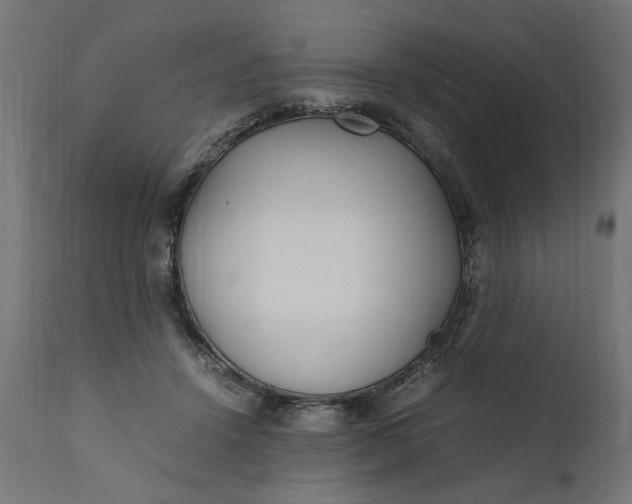 X0000111490456200907281231