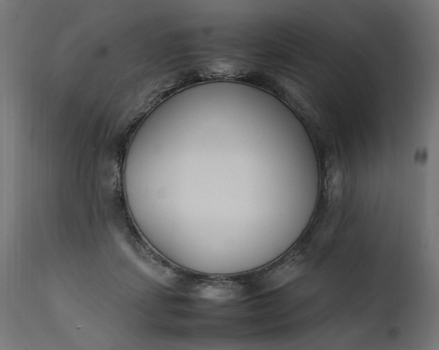 X0000111490459200907281231