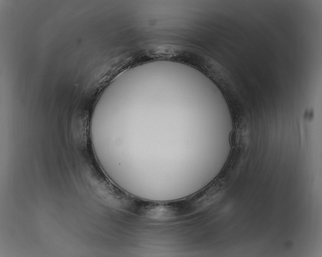 X0000111490460200907281232