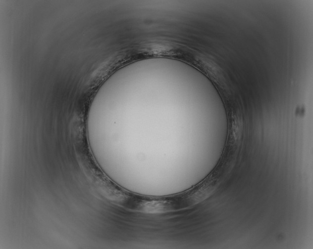 X0000111490461200907281232