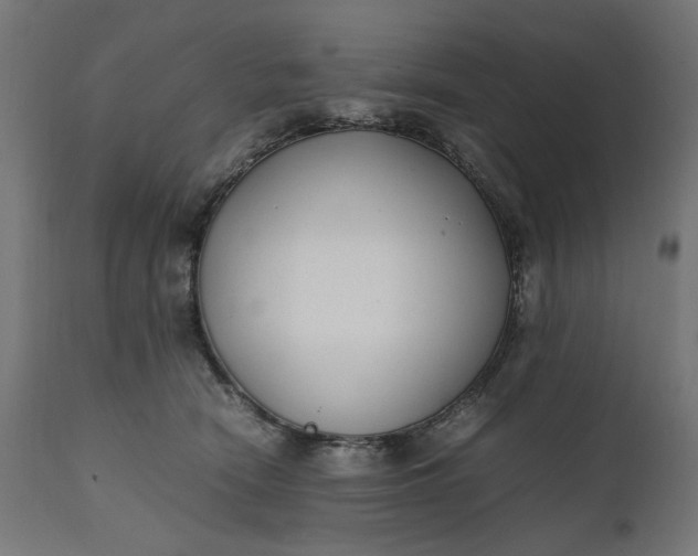 X0000111490466200907281232