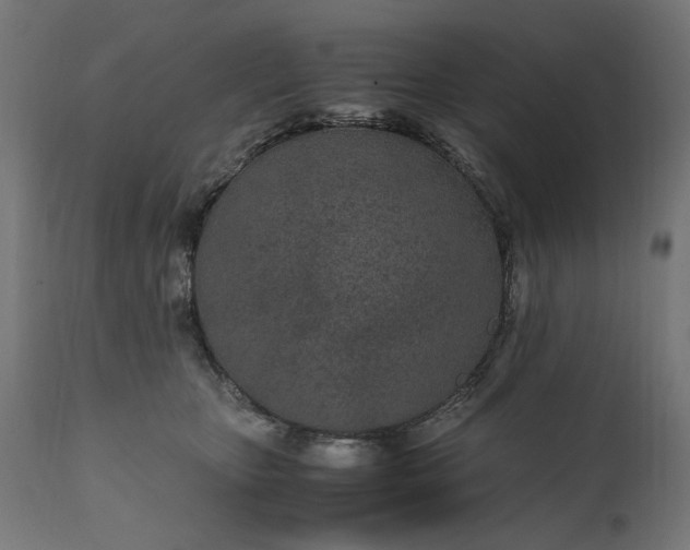 X0000111490467200907281232