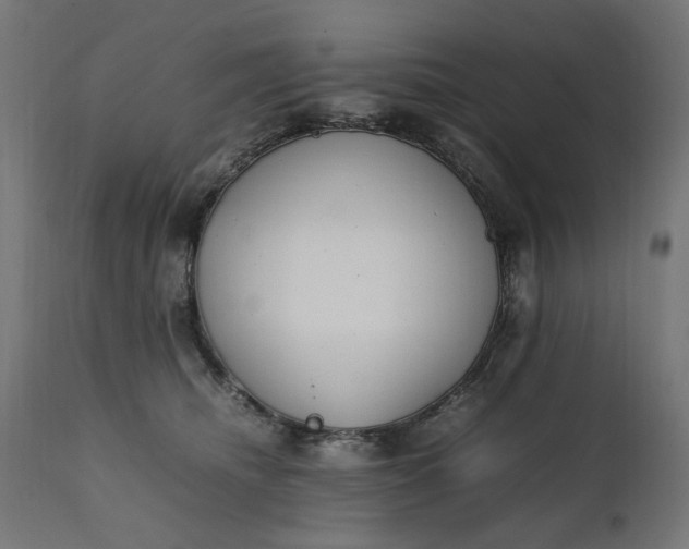 X0000111490468200907281232