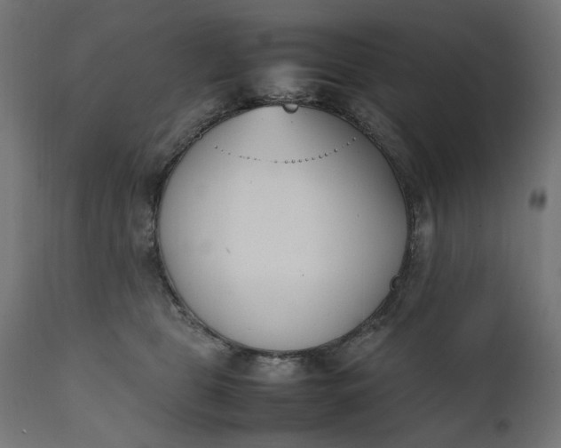 X0000111490469200907281232