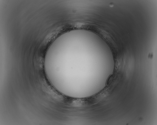 X0000111490470200907281232